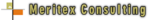 Meritex Consulting header_logo